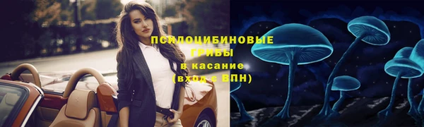 МДПВ Володарск