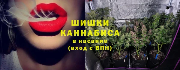 МДПВ Володарск